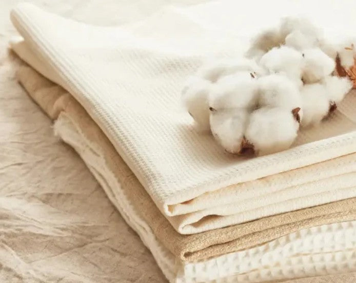 Coton peigné vs coton cardé : quelle différence pour vos chaussettes ? SOXX.shop SOXX.shop Image